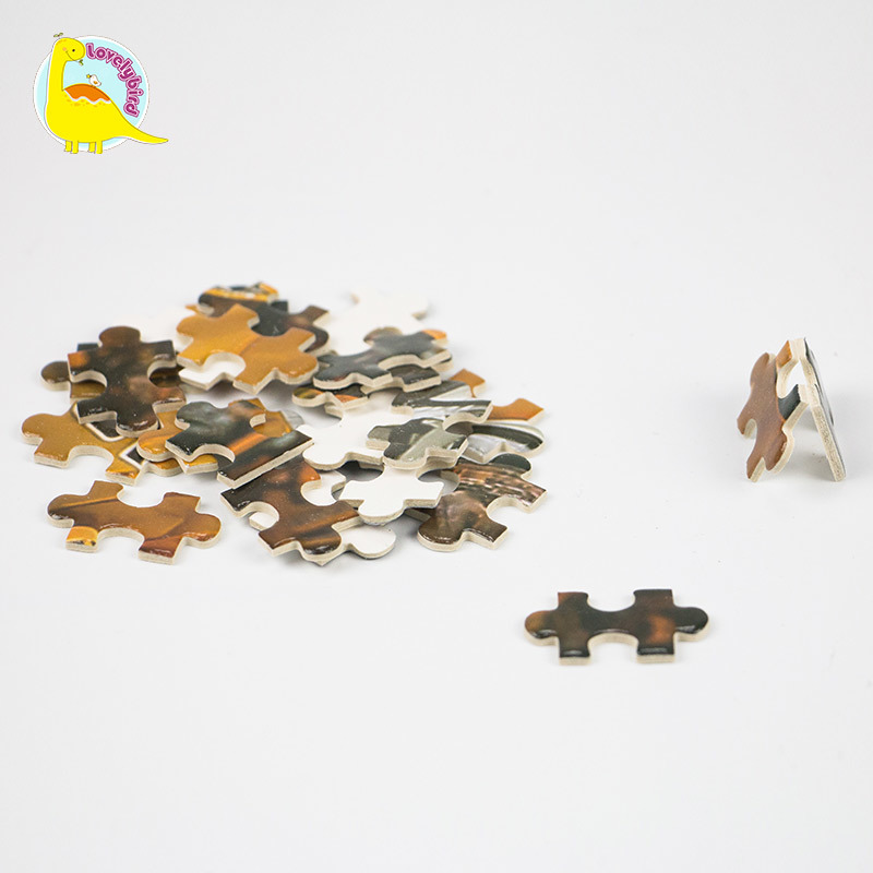 All Kinds of Small Puzzle  Pieces