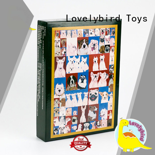 Lovelybird Toys functional wooden puzzles for sale