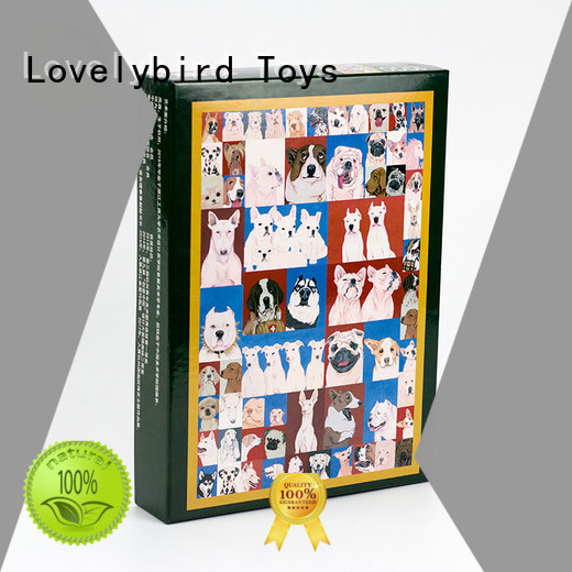 kids 500pc custom  toy Lovelybird Toys Brand